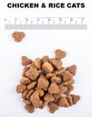 Повсякденний корм для котів Amity з куркою та рисом 10 кг (8436538947951) - 4