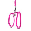 Шлея з повідцем для собак шкіряна WAUDOG Glamour з QR паспортом, Ш 9 мм, А 20-30 см, В 30-40 см, рожевий - 2