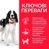 Сухий корм для дорослих собак середніх порід Hill&rsquo;s Science Plan Adult Medium Breed з куркою 14 кг - 3