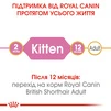 Сухий корм для кошенят Royal Canin Kitten British Shorthair 2 кг - 5