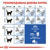 Сухий корм для домашніх котів Royal Canin Indoor LongHair 2 кг - 5