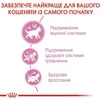 Сухий корм Royal Canin Kitten для кошенят від 4 до 12 місяців 400 г (НФ-00000851) - 3