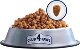Сухий корм для дорослих котів Club 4 Paws (Клуб 4 Лапи) Преміум. З Лососем 14 кг - 3