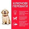 Сухой корм для щенков больших пород Hill&rsquo;s Science Plan Puppy Large Breed с курицей 14.5 кг - 3