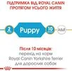 Сухий повнораційний корм для цуценят Royal Canin Yorkshire Terrier Puppy породи йоркширський тер'єр віком від 2 до 10 місяців 500 г - 2
