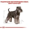Сухой корм Royal Canin Miniature Schnauzer Adult для взрослых собак старше 10 месяцев 7.5 кг - 2