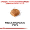 Сухой полнорационный корм для взрослых собак породы чихуахуа Royal Canin Chihuahua Adult возрасте от 8 месяцев и старше 1.5 кг - 2