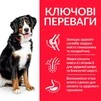 Сухий корм для дорослих собак великих порід Hill&rsquo;s Science Plan Adult Large Breed з ягням та рисом 14 кг - 3