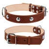 Нашийник "CoLLaR" подвійний з прикрасами (ширина 35мм, довжина 48-63см), коричневий - 1