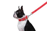 Поводок "Dog Extremе" нейлоновый двойной (ширина 20мм, длина 122см), красный - 5