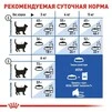 Сухой корм Royal Canin INDOOR 7+ для стареющих котов живущих в помещении 3.5 кг - 3
