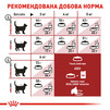 Сухой корм для домашних и уличных кошек Royal Canin Fit 400 г - 3