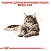 ПАК.Вологий корм Royal Canin MAINECOON ADULT для дорослих кішок породи Мейн Кун 12 шт по 85 г - 5