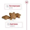 Сухой корм для собак мелких пород Royal Canin Mini Adult для взрослых собак 800 г - 3