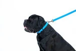 Повідець для собак водостійкий WAUDOG Waterproof, Ш 20 мм, Дл 122 см, блакитний - 5