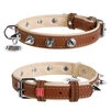 Нашийник для собак шкіряний WAUDOG Soft з QR паспортом, з шипами, Ш 25 мм, Дл 38-49 см - 1