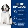 Сухий корм Hill's Prescription Diet c/d Multicare Urinary Care для собак усіх порід з куркою 1,5 кг - 7