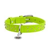 Нашийник для собак шкіряний WAUDOG Glamour з QR паспортом, з клейовими стразами, Ш 25 мм, Дл 38-49 см, салатовий - 2