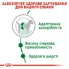 Сухой корм для собак Royal Canin Mini Adult мелких пород старше 10 месяцев 8 кг - 3