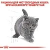 Сухой корм Royal Canin KITTEN BRITISH SHORTHAIR для котят Британской породы 10 кг - 4