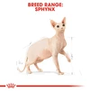 Сухой корм Royal Canin Sphynx Adult для котов породы сфинкс от 12 месяцев 10 кг - 2