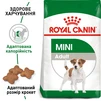 Сухой корм для собак Royal Canin Mini Adult мелких пород старше 10 месяцев 800 г - 2