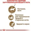 Сухий корм Royal Canin Sterilised 12+ для стерилізованих котів від 12 років 2 кг - 6