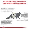 ПАК.Влажный корм Royal Canin Urinary S/O - консервы для кошек уринары при МКБ, кусочки в соусе, 12шт по 85 г - 7