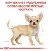 Сухой полнорационный корм для щенков Royal Canin Chihuahua Puppy породы чихуахуа возрасте от 2 до 8 месяцев 1.5 кг - 3
