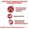 Сухий корм Royal Canin FIT для дорослих котів 4 кг - 4