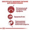 Сухой корм Royal Canin FIT для взрослых кошек 4 кг - 3