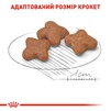 Сухой корм для взрослых собак мелких пород Royal Canin Mini Adult 8+ старше 8 лет 800 г - 3