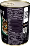 Вологий корм Savory для котів з качкою 400 г - 2