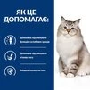 Сухий корм Hill's Prescription Diet j/d Joint Care для котів з куркою 2 кг - 5