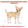 Сухой полнорационный корм для взрослых собак породы чихуахуа Royal Canin Chihuahua Adult возрасте от 8 месяцев и старше 1.5 кг - 3