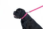 Повідок для собак водостійкий WAUDOG Waterproof, Ш 15 мм, Дл 183 см, рожевий - 5