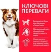 Сухий корм для зрілих собак від 7 років Hill&rsquo;s Science Plan Mature Adult 7+ Medium Breed з куркою 14 кг - 2