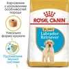 Корм Royal Canin Labrador Retriver Puppy сухой для щенят породы лабрадор 3 кг - 2