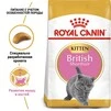 Сухий корм Royal Canin KITTEN BRITISH SHORTHAIR для кошенят Британської породи 10 кг - 1