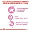 ПАК.Влажный корм Royal Canin KITTEN STERILISED IN GRAVY (Соус) для стерилизованных котят 12шт по 85 г - 5