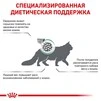 Сухой корм Royal Canin SATIETY WEIGHT MANAGEMENT CAT для взрослых кошек, снижение и контроль веса 400 г - 2