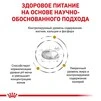 Сухой корм Ветеринарная диета для стерилизованных котов при заболеваниях нижних мочевыводящих путей Royal Canin Urinary S/O Moderate calorie 400 г - 2