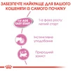 ПАК. Вологий корм для новонароджених кошенят Royal Canin Mother &amp; Babycat Cans 6 шт по 195 г - 6