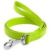 Повідець для собак шкіряний WAUDOG Glamour, Ш 25 мм, Дл 122 см, салатовий - 1