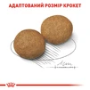 Сухой корм для взрослых собак средних пород Royal Canin Medium Adult старше 12 месяцев 4 кг - 5