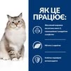 Сухий корм Hill's Prescription Diet j/d Joint Care для котів з куркою 2 кг - 7