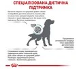 Сухой корм для собак Royal Canin Diabetic Dog при сахарном диабете 1.5 кг - 2