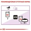 ПАК.Влажный корм Royal Canin STERILIZED LOAF (Паштет) для взрослых стерилизованных кошек 12шт по 85 г - 3