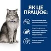 Сухий корм Hill's Prescription Diet L/d Liver Care для котів при захворюваннях печінки з куркою 1.5 кг - 7