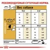 Сухой корм Royal Canin JACK RUSSEL ADULT для взрослых собак породы Джек Рассел Терьер 7.5 кг - 3